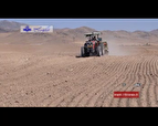 آغاز کشت خوشه های طلایی در استان زنجان