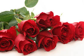 گلباران حرم مطهر امام هادی و امام حسن عسکری(ع)