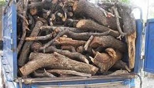 کشف 10تن چوب جنگلی قاچاق درچهارمحال وبختیاری