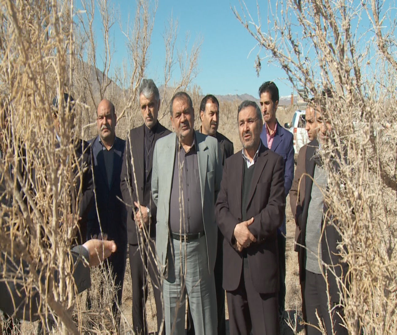 آلوده بودن 90 هزار هکتار، تاغزار به شپشک سفید