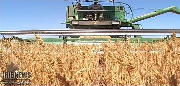 اختصاص 25 میلیارد تومان  اعتبار به کشاورزی خراسان شمالی اختصاص 25 میلیارد تومان  اعتبار به کشاورزی خراسان شمالی