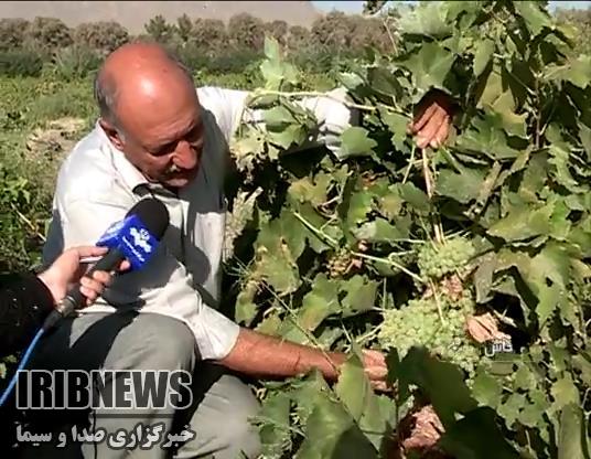 معلمی که سراغ ذهن خالی بیابان رفت