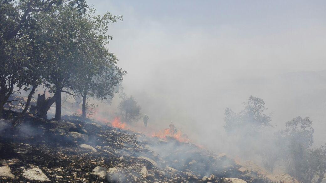 وقوع 69 فقره آتش سوزی در منابع طبیعی استان در سال جاری