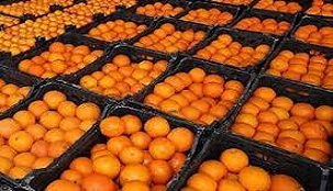 توزیع هزارو 387 تن میوه ایام نوروز در چهارمحال و بختیاری توزیع هزارو 387 تن میوه ایام نوروز در چهارمحال و بختیاری