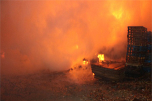 اطفای آتش سوزی انبار پالت چوب در اصفهان