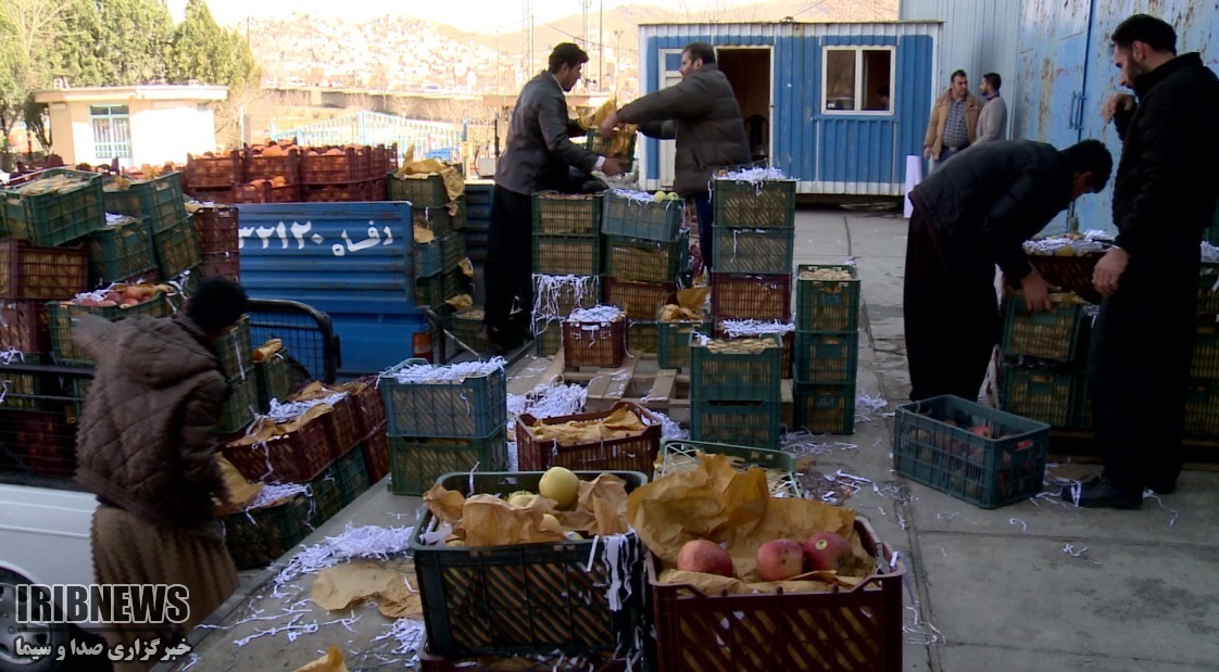 آغاز توزیع میوه شب عید در کردستان آغاز توزیع میوه شب عید در کردستان