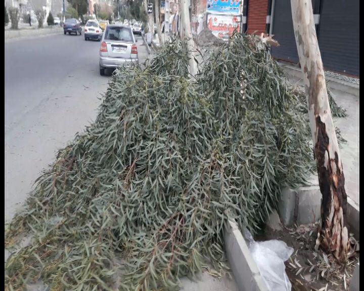 باران و توفان شن همزمان در استان کرمان