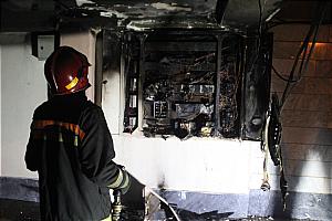 از حمله خرس تا مچاله شدن پیکان زیر کامیون