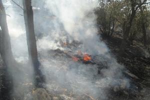 از تلاشی شدن باند جعل اسکناس تا نجات از دست گروگانگیران از تلاشی شدن باند جعل اسکناس تا نجات از دست گروگانگیران