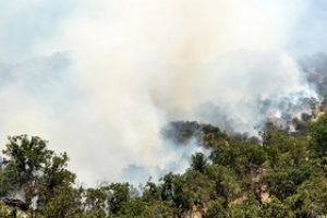 از تلاشی شدن باند جعل اسکناس تا نجات از دست گروگانگیران از تلاشی شدن باند جعل اسکناس تا نجات از دست گروگانگیران