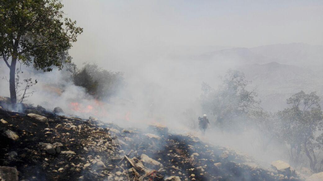 مهار کامل آتش قبل از ورود به منطقه حفاظت شده خامین