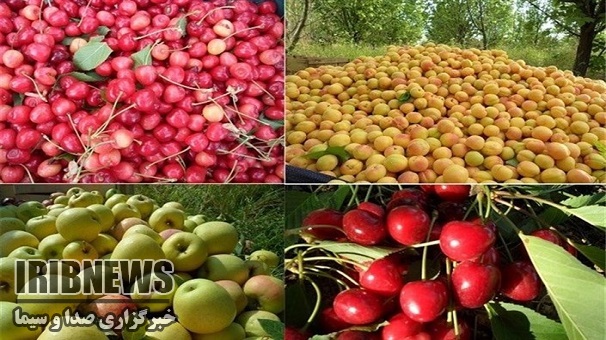 صادرات 50 هزار تنی محصولات کشاورزی استان زنجان صادرات 50 هزار تنی محصولات کشاورزی استان زنجان