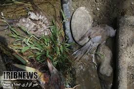 از سقوط از پرتگاه هنگام سلفی گرفتن تا کشف سلاح جنگی+فیلم از سقوط از پرتگاه هنگام سلفی گرفتن تا کشف سلاح جنگی+فیلم