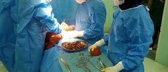 از سقوط از پرتگاه هنگام سلفی گرفتن تا کشف سلاح جنگی+فیلم از سقوط از پرتگاه هنگام سلفی گرفتن تا کشف سلاح جنگی+فیلم