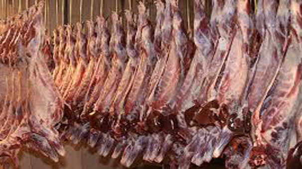 افزایش قیمت گوشت قرمز در استان+فیلم