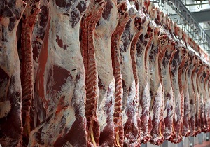 سهم 54 درصدی عشایر در تولید گوشت قرمز