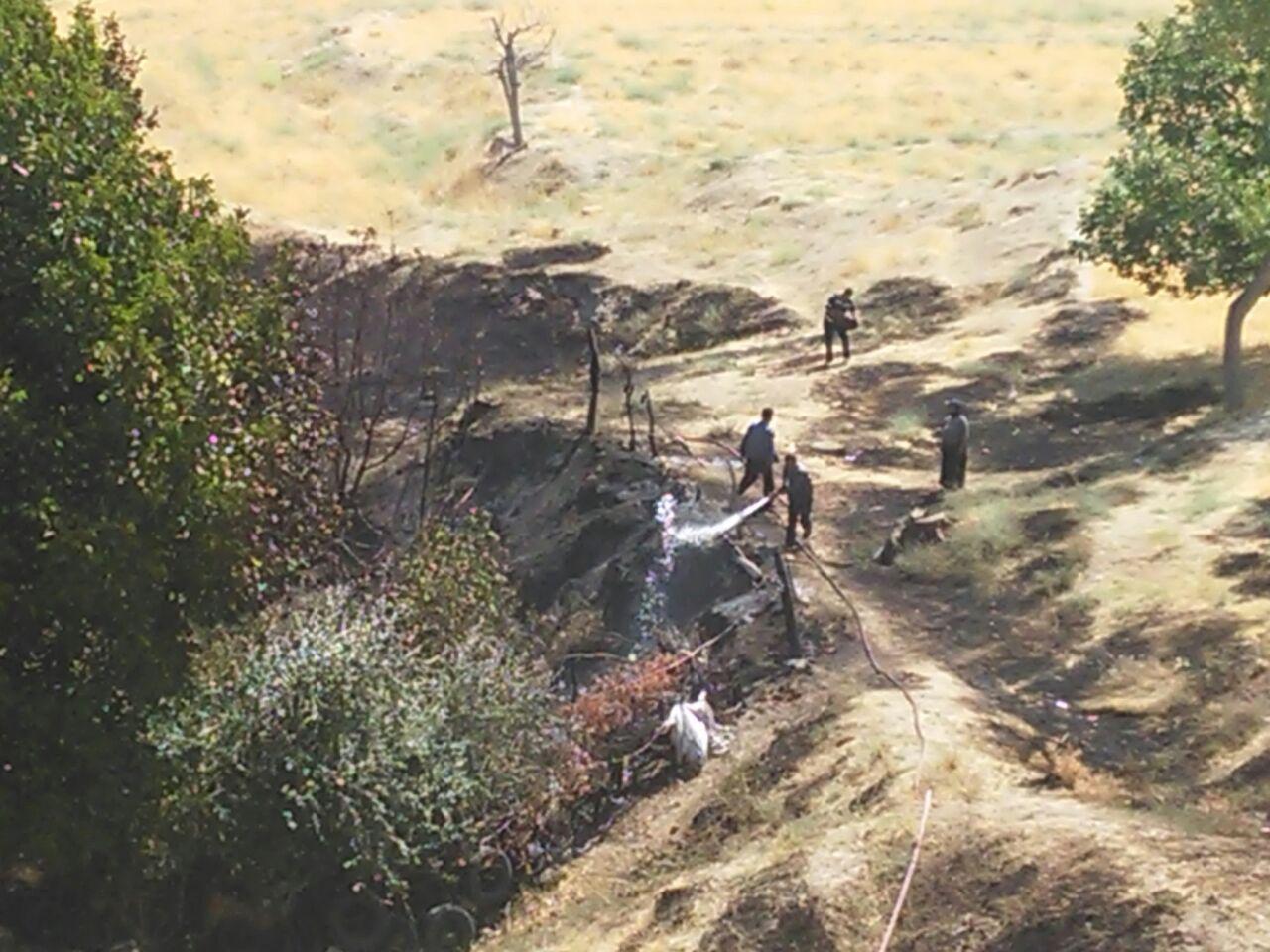 آتش سوزی در باغات مثمر 