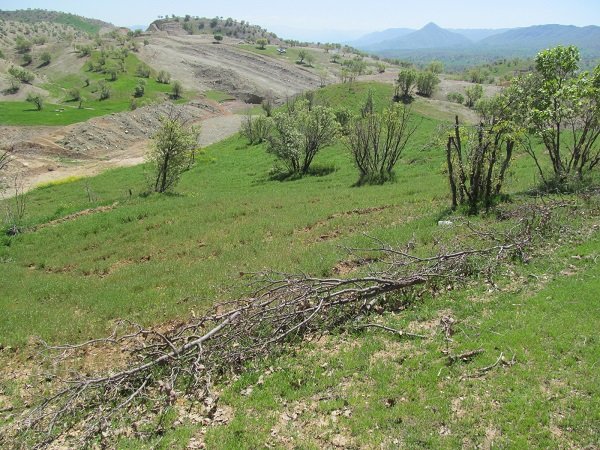 تشکیل 49 پرونده زمین خواری در استان