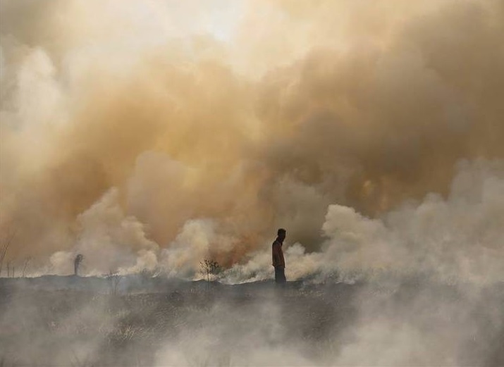 تصاویر دیدنی در هفته ای که گذشت