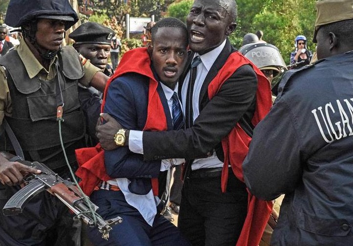 تصاویر دیدنی در هفته ای که گذشت