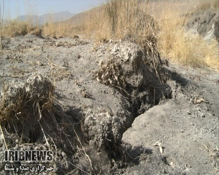 گزارش مکتوب :مرگ تدریجی دشت های بام ایران