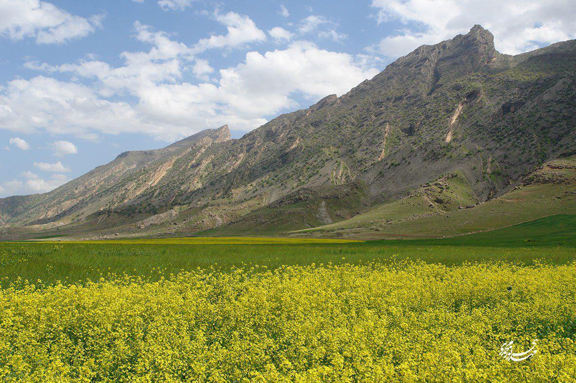 چشم اندازی های زیبای ایلام