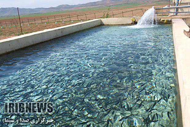 گزارش مکتوب // فسیل های زنده در قفس