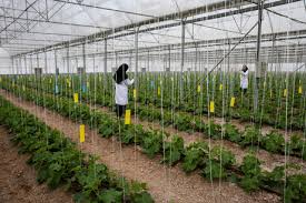 حکایت امروز و گذشته ی روزهای سختِ نه چندان دور