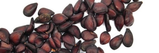 خواص گیاه به و به دانه خواص گیاه به و به دانه