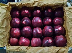 زعفران و سیب در صدر محصولات صادراتی خراسان رضوی