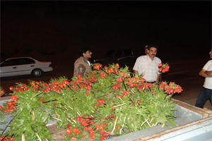 گلستانکوه خوانسارقربانی بی مهری گردشگران