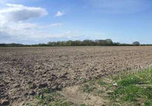 چرخه تولید در بیش از 40 هزار مترمربع زمین های بایر بایل