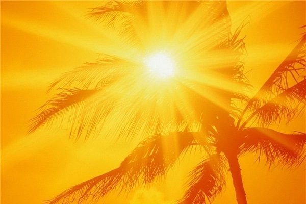 آبیاری باغ‌ها بهترین راه مقابله با گرما