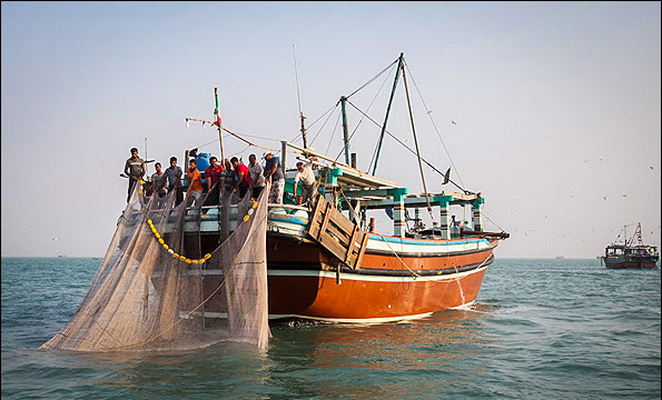 تور گردشگری صيد و صیادی در بوشهر برگزار می‌شود