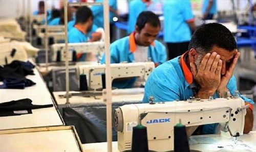 توانمند سازی بیش از دو هزار معتاد بهبود یافته توانمند سازی بیش از دو هزار معتاد بهبود یافته