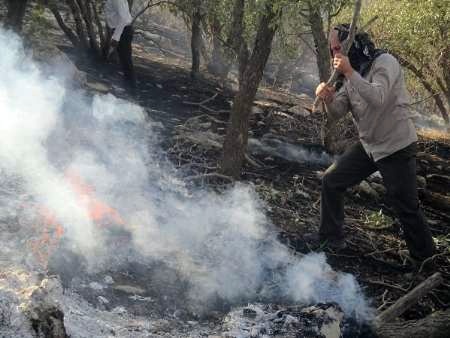 مهار آتش سوزی در مراتع پیچاب باشت