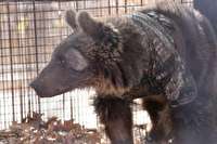 امیدالبرز رها سازی شد +فیلم امیدالبرز رها سازی شد +فیلم