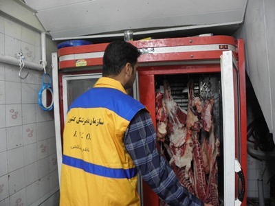 جمع آوری ۳۷ تن گوشت فاسد در استان