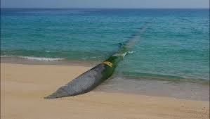 پایان مطالعات طرح انتقال آب از دریای عمان به خراسان رضوی