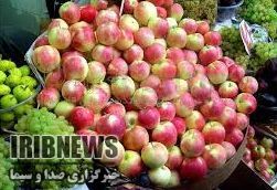 برداشت بیش از 50 هزار تن سیب در شهرستان مهاباد برداشت بیش از 50 هزار تن سیب در شهرستان مهاباد