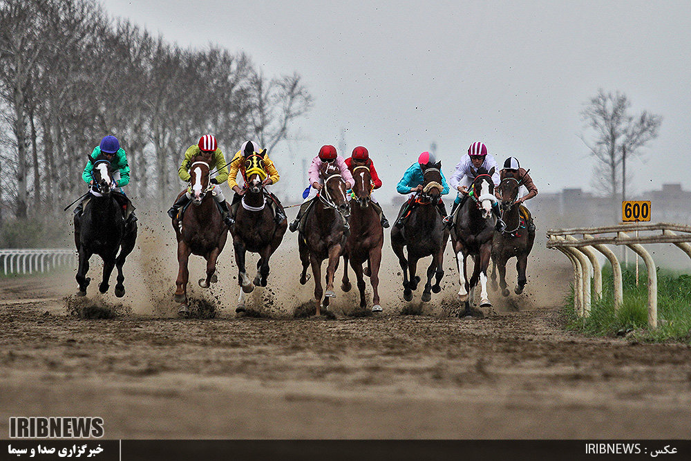 نورمحمد بهادر چابکسوار روز نخست هفته هشتم
