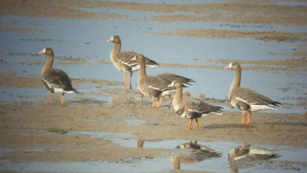 ظرفیت بالقوه اکوتوریسم در اردبیل ظرفیت بالقوه اکوتوریسم در اردبیل