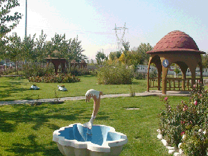 ایجاد ۲۵ بوستان روستایی در البرز