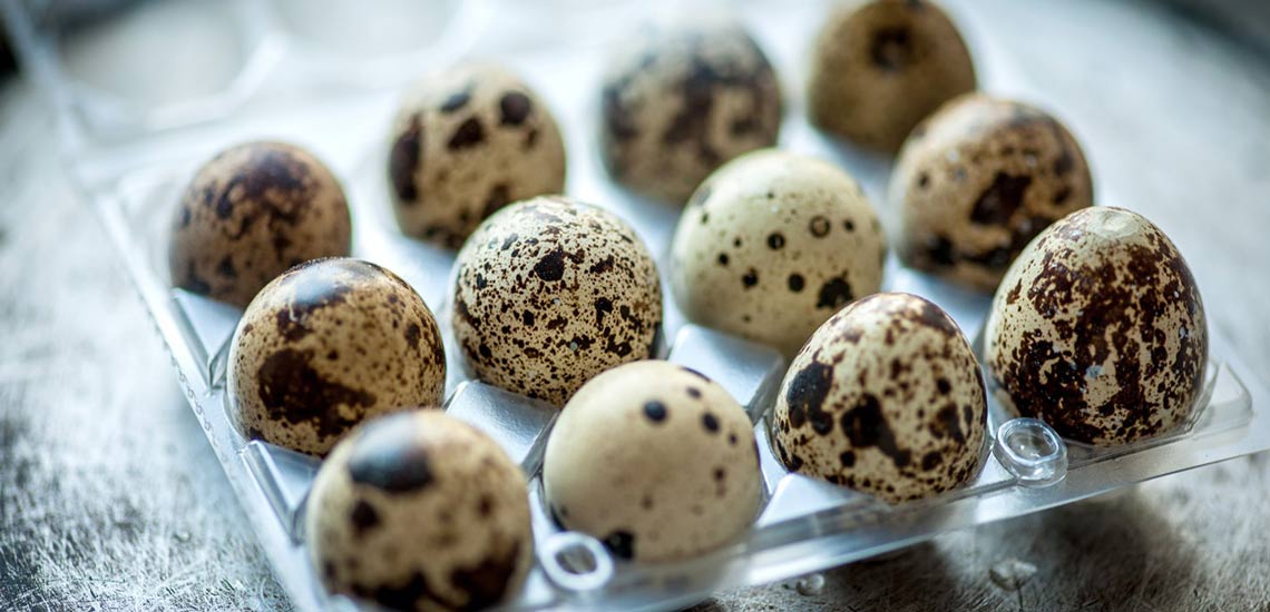 کارآفرین هلیلانی روزانه یک هزارو 500 تخم مرغ روانه بازار می کند کارآفرین هلیلانی روزانه یک هزارو 500 تخم مرغ روانه بازار می کند