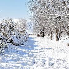 خسارت 16 میلیارد تومانی سیل به طرقبه و شاندیز خسارت 16 میلیارد تومانی سیل به طرقبه و شاندیز