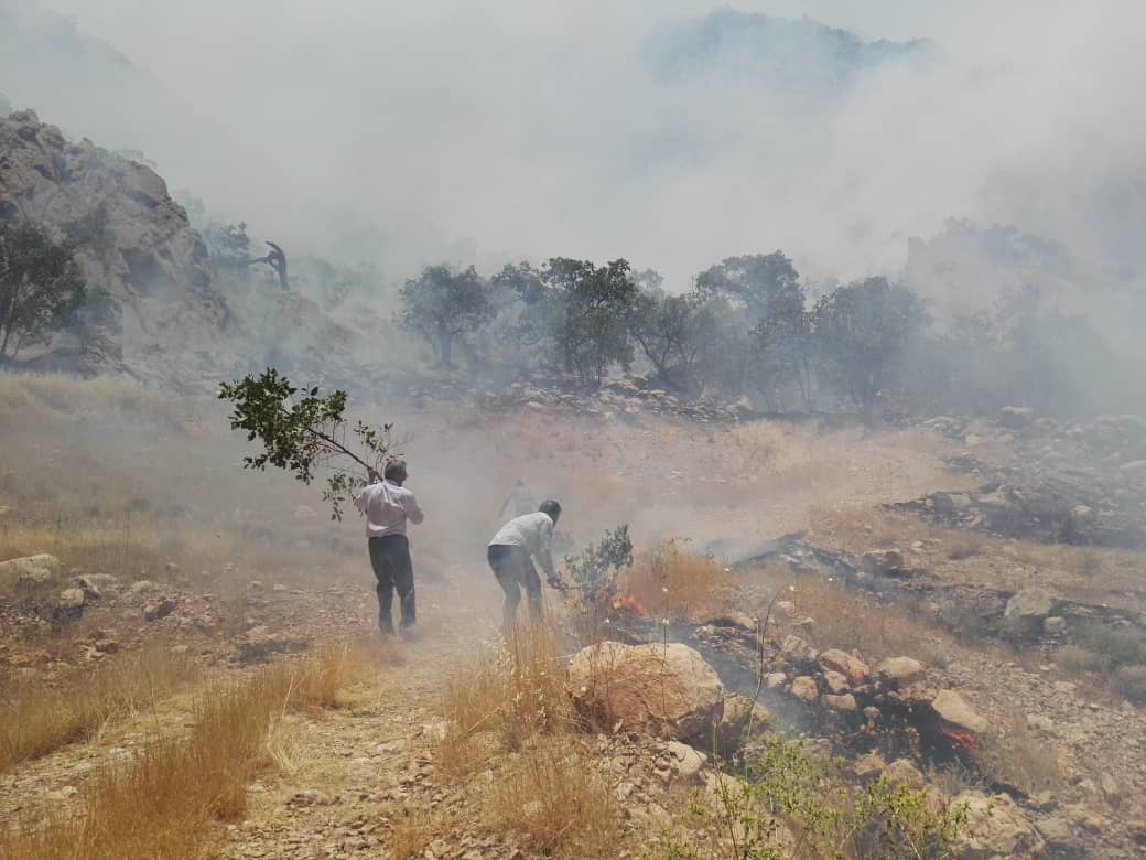 مهار آتش سوزی منطقه حفاظت شده دیل گچساران