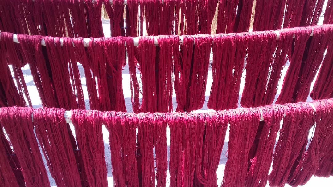 افول رنگرزان در شهر اصالت رنگ یونسکو