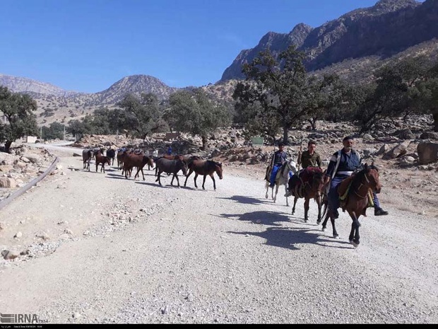 عشایر اندیکا در راه برگشت به خوزستان عشایر اندیکا در راه برگشت به خوزستان