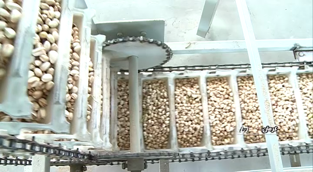 افزایش ۴8 درصدی صادرات کرمان