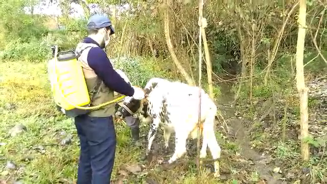 برنامه های هفته بسیج در گیلان برنامه های هفته بسیج در گیلان